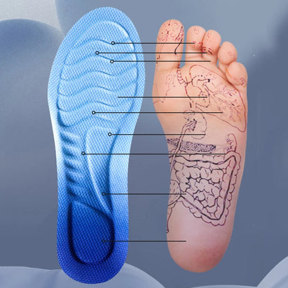 Plantillas deportivas con tecnología 4D Cloud